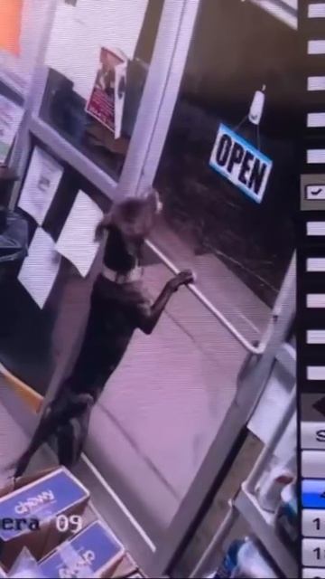 В США собака по кличке Доусон эффектно сбежала из приюта