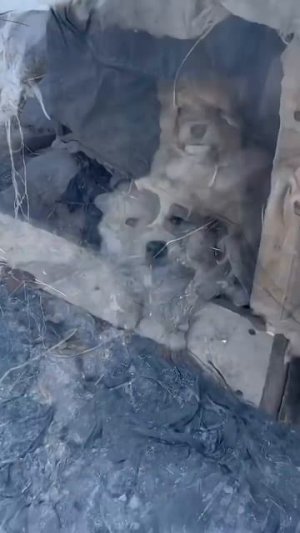 Однажды на дороге😢💖