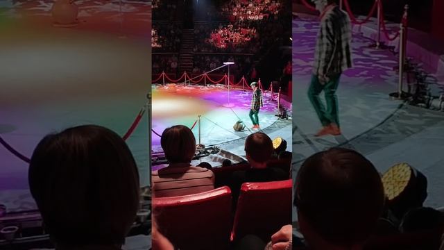 Обезьянки в цирке в шоу воды огня света Брянск смотреть онлайн