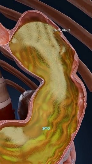 Задумайтесь, люди 😔🤫