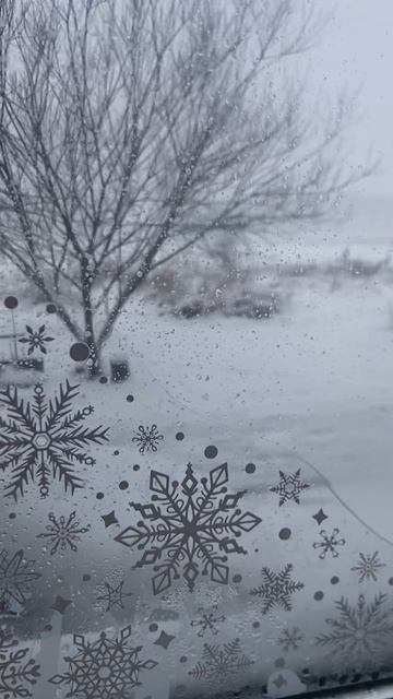 В вы уже убрали ёлку? #январь смотреть онлайн