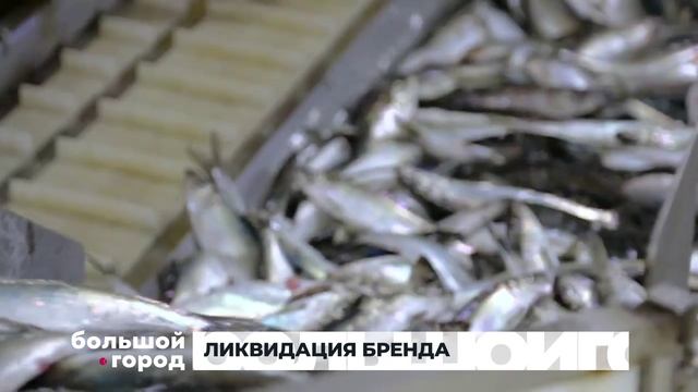 ЛИКВИДАЦИЯ БРЕНДА. Большой город 12/01/2026 смотреть онлайн