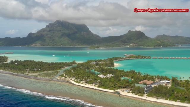 Притча о дружбе и взаимопонимании смотреть онлайн