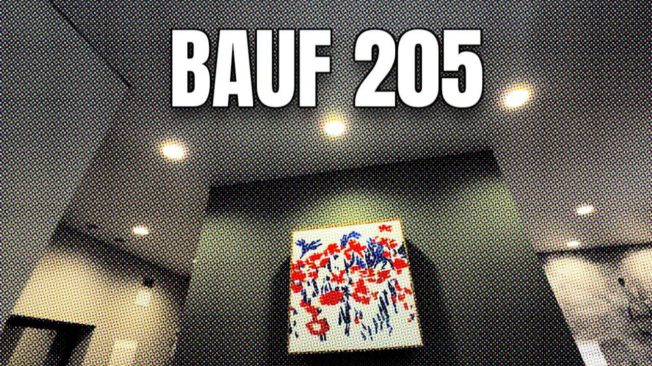 6 - метровый натяжной потолок BAUF смотреть онлайн