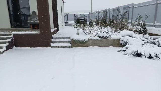 Снежное утро. Анапа 12. 01 26 г. смотреть онлайн