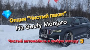 Опция "Чистый пакет" на Geely Monjaro: идеально чистый автомобиль в любую погоду.
