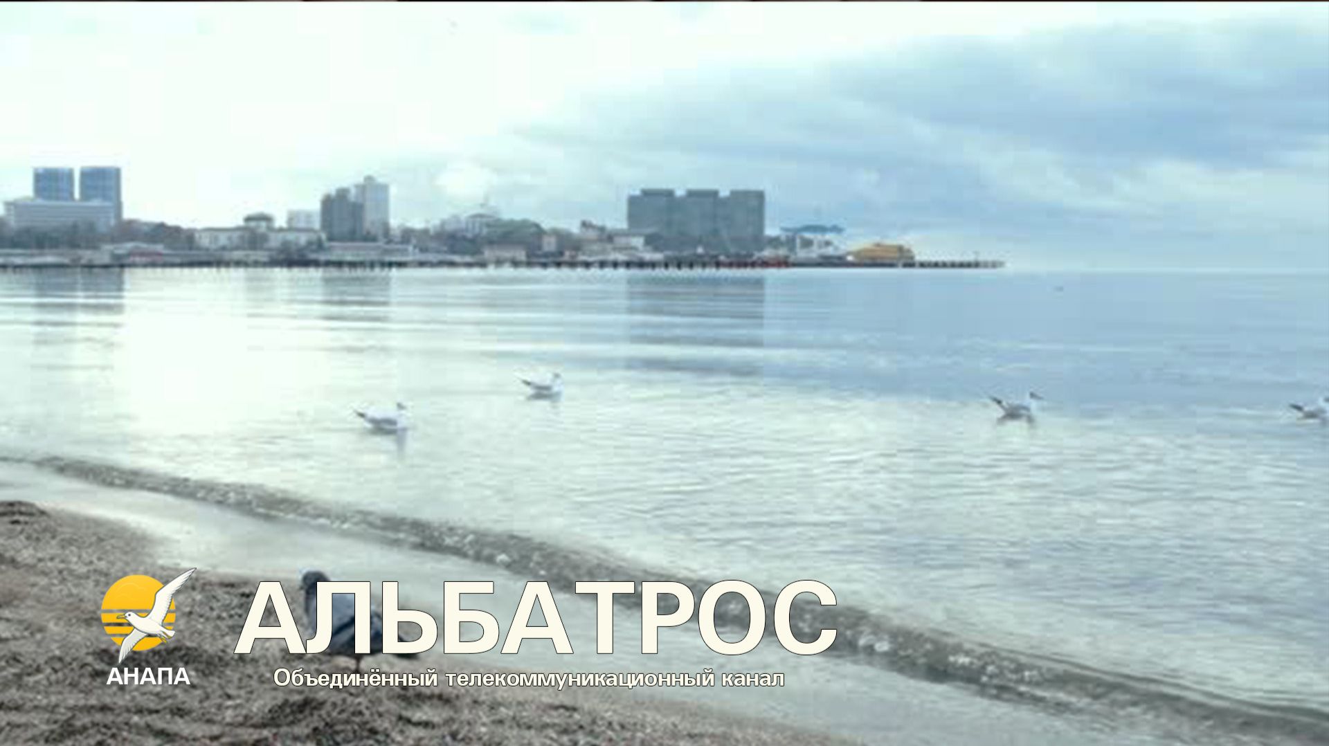 АНАПА. ПРОГУЛКА (река Анапка, море, пляж) и ТЕСТ объектива Canon 28 mm 1.8 /  🌞  21 декабря 2025 г.