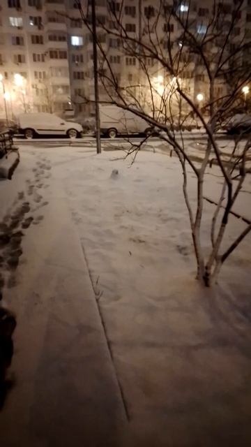 Утро 12 января '26. #будни #зима2026