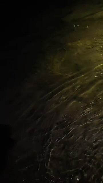 Зимний сплав по Илети в январе 2026 года. смотреть онлайн