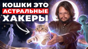 Они не то, кем кажутся! Шокирующая правда про кошек