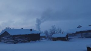 МОРОЗ КРЕПЧАЕТ. ЦЕНА НА ДРОВА? КАК УМЕЮ, ТАК И РАЗГОВАРИВАЮ 10.01.26