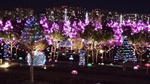 "В ЦАРСТВЕ СВЕТА И ОБРАЗОВ"