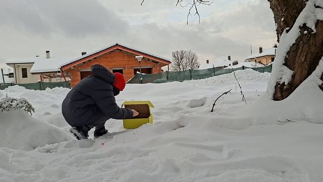 5 корсар от русской пиротехники против коробки 📦.  немножко экшена