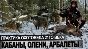 Охота на оленя, кабана, практика охотоведа,  мощный доступный арбалет для охоты