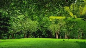 ВКЛЮЧИТЕ ЭТУ МУЗЫКУ ДЛЯ ДУШИ — УСНИТЕ ГЛУБОКО УЖЕ ЧЕРЕЗ 5 МИНУТ