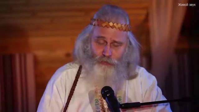 Александр Субботин • Поглажу ладошкой Землю своюмузыка #гусли #пение