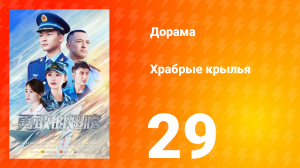 Храбрые крылья 29 серия