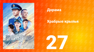 Храбрые крылья 27 серия