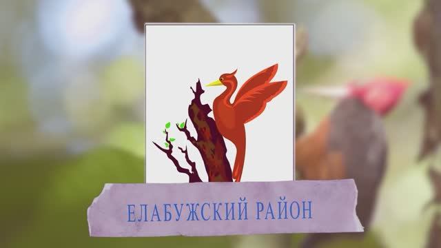 Елабужский район