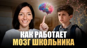 Вот как ДУМАЮТ дети. Мозг любого школьника от 7 до 12 лет