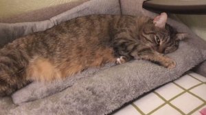 А вы их когда в последний раз  видели ?(11.01.26)