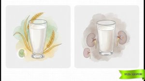 Пшённое молоко — напиток долгой жизни: секреты, котор?