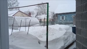 «Мело, Мело по всей земле, во все пределы... « видео от 4.01.26. Кузьма и вороны. 😊