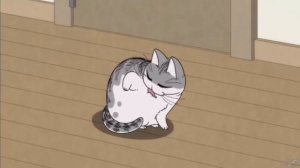 Вечера с котом 1 сезон