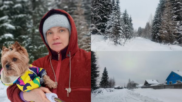 Прогулка по зимней деревне .