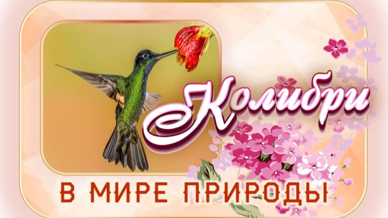 📗 "Колибри" ~ СЛАЙДЫ | РАССКАЗ Христианский 🌼🟢 В МИРЕ ПРИРОДЫ~ АУДИОРАССКАЗ смотреть онлайн