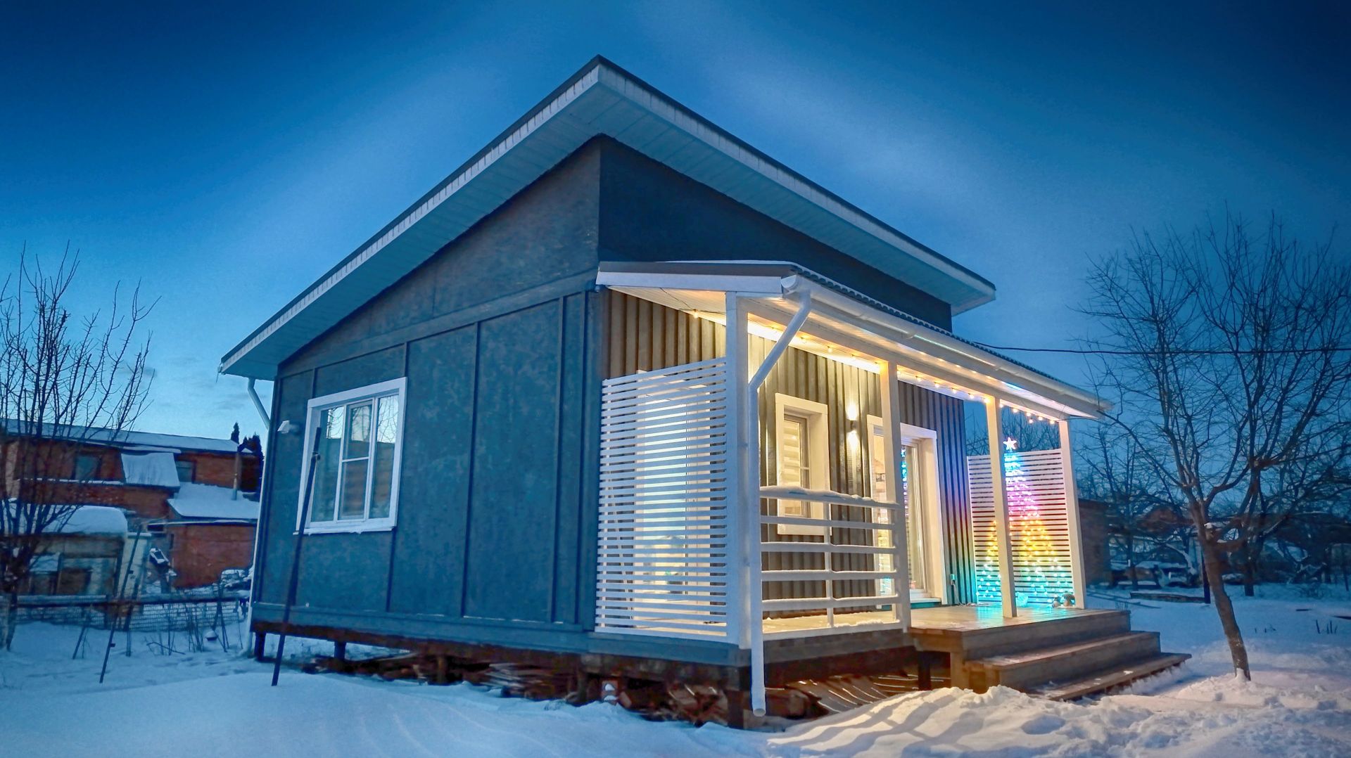 ОДИН НОВОГОДНИЙ ДЕНЬ НА ДАЧЕ.