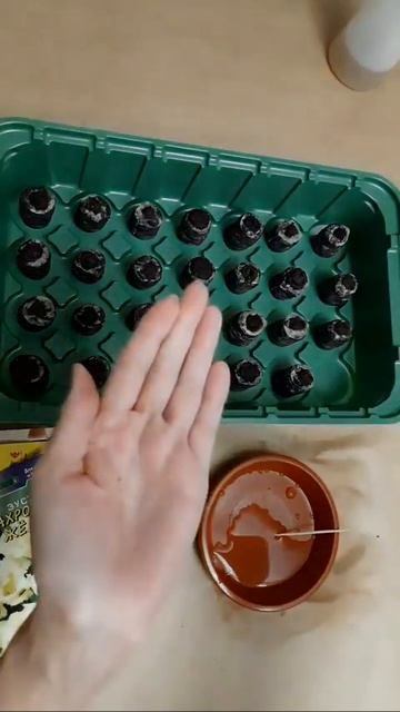 Посев Эустомы смотреть онлайн