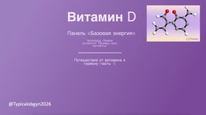 Челледж "Химия усталости. Проверь свои контакты". Панель "Базовая энергия. Вит Д . Беседа первая."