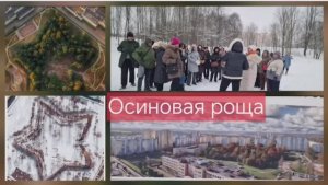 Забытая крепость-звёзда. Осиновая роща