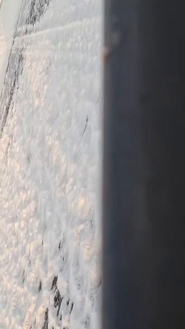 Воришку застукали на месте преступления 🤣 🤣 🤣 12-01-2026 смотреть онлайн