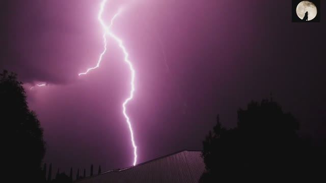 Нашид: Muhammad Al Muqit 🟢