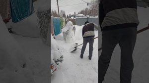 Чистим снег❄️