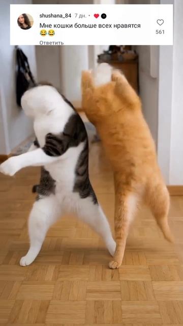 Танцуют все!💃💃💃💃💃🤣🤣🤣🤣🤣#reels #концерт #top #trending #dance #trendingshorts #shorts #top