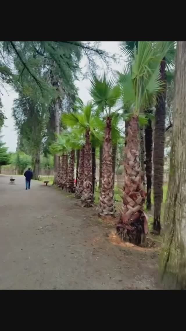 Видео-отчёт об отдыхе в Абхазии в новогодние праздники 2026 года от Сергея Груздева смотреть онлайн