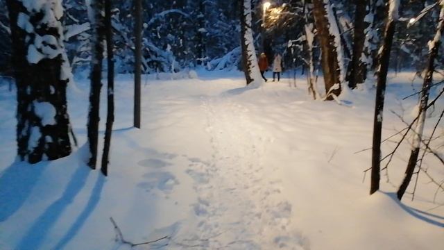 Станция метро.. Новомосковская.. Лес и тропа. Оленей и медведиков не хватает.