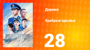 Храбрые крылья 28 серия
