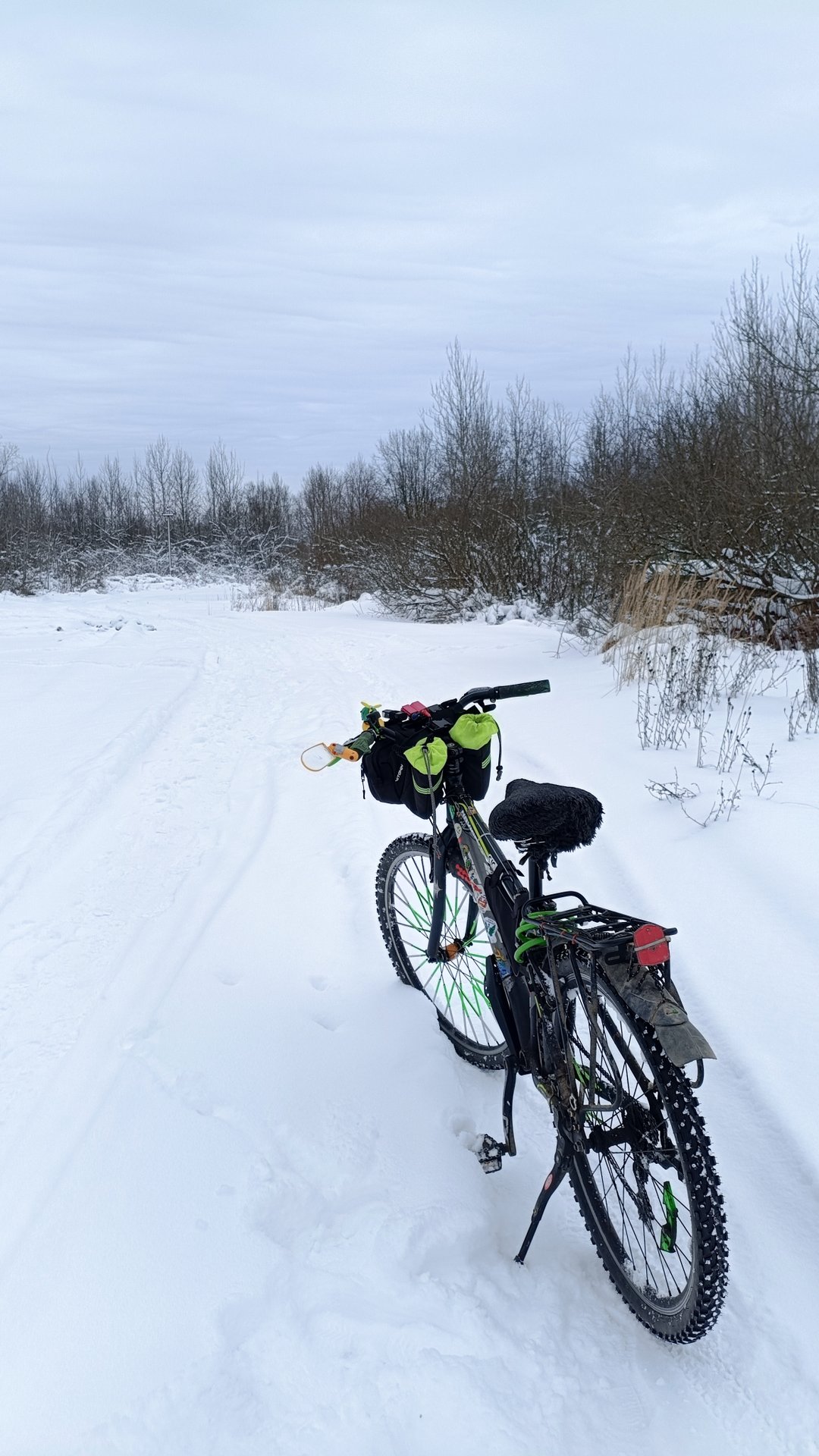зимняя вело сказка ❄️ 🚲🎄12-01-2026