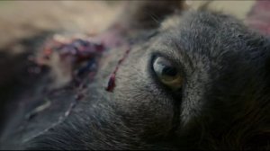 Официальный трейлер фильма «Пастбища богов» (2025)