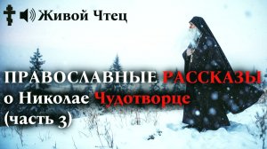 ОТОБРАЛ ИКОНУ У РЕБЕНКА-ИНВАЛИДА, НО ДАЛЕКО УЕХАТЬ НЕ СМОГ... ПРАВОСЛАВНЫЕ РАССКАЗЫ (часть 3)