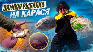 ПОКЛЕВКИ КАРАСЯ ОНЛАЙН НА ПОДВОДНУЮ КАМЕРУ FOCUS FISH. ЗИМНЯЯ РЫБАЛКА НА КАРАСЯ 2026. Рыбалка 2026