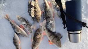 Рыбалка, в поисках рыбки.