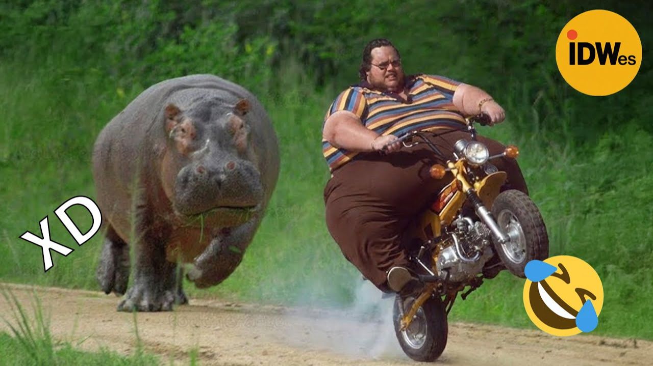 ЕСЛИ ТЫ СМЕЕШЬСЯ, ТЫ ТЕРЯЕШЬ УРОВЕНЬ 🤣 ОЧЕНЬ СМЕШНЫЕ СМЕЮЩИЕСЯ ВИДЕО 2026 ГОДА😆 смотреть онлайн