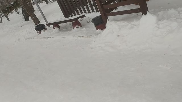 прогулка по парку часть 5 смотреть онлайн