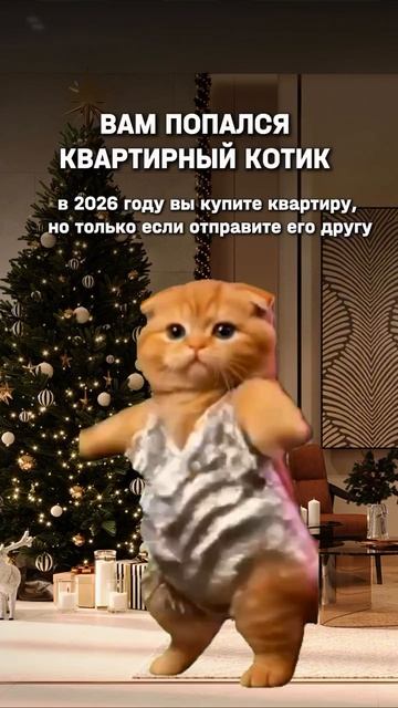 НОВОГОДНИЙ КОТИК