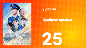 Храбрые крылья 25 серия